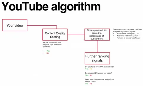 youtube algorithum